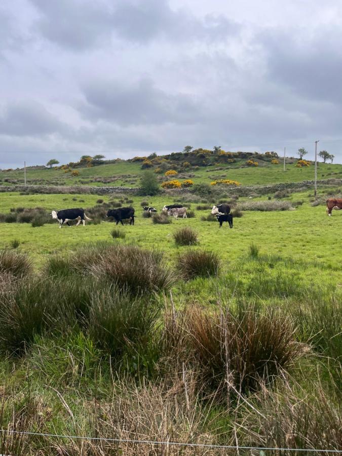 Lacken Farmyard Kilmihil ภายนอก รูปภาพ