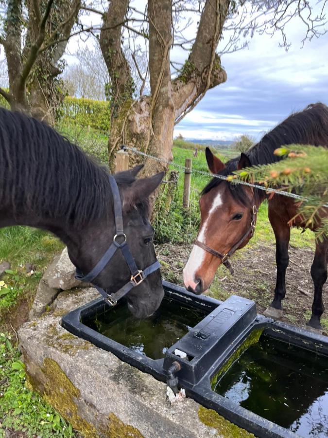 Lacken Farmyard Kilmihil ภายนอก รูปภาพ