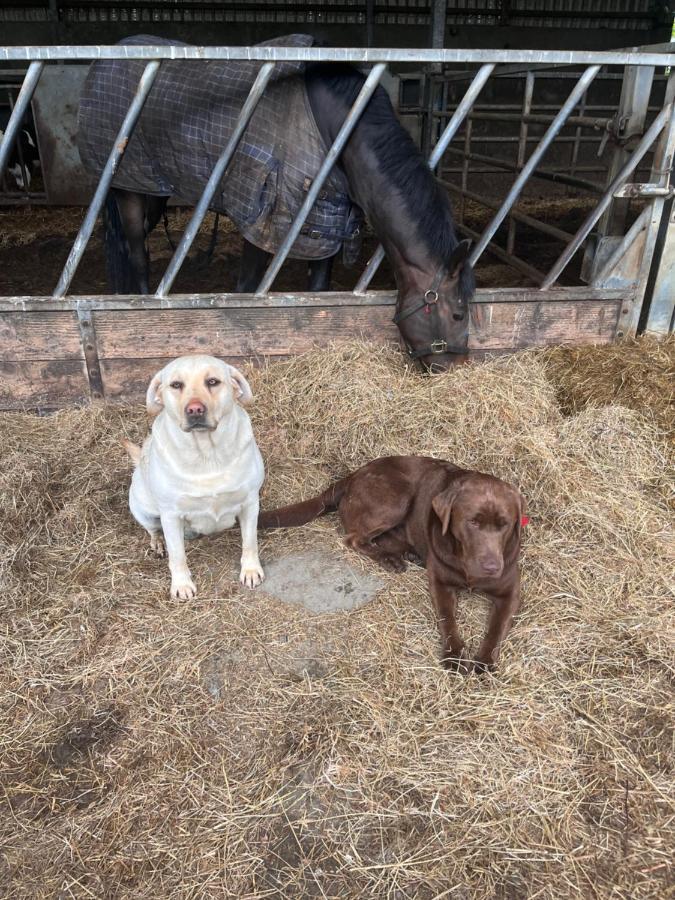 Lacken Farmyard Kilmihil ภายนอก รูปภาพ