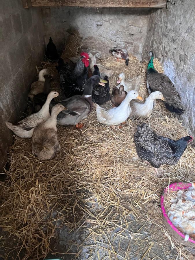 Lacken Farmyard Kilmihil ภายนอก รูปภาพ